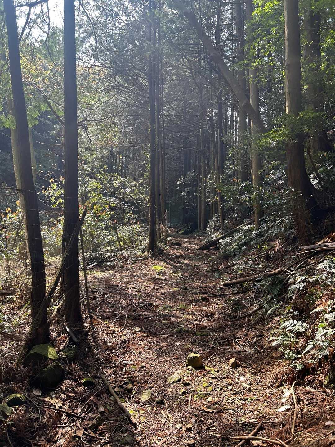 やっとYAMAP😅
登山開始しました