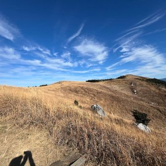 ススキはほぼ終わってるけど