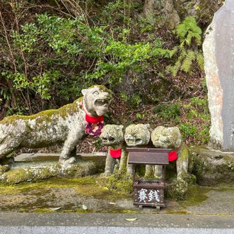 帰路で見つけた可愛い親子虎🐯