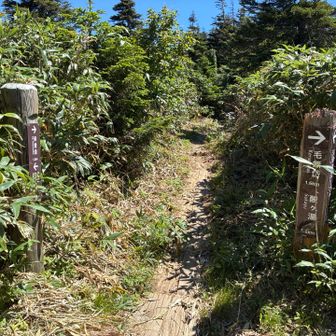 ここを右に