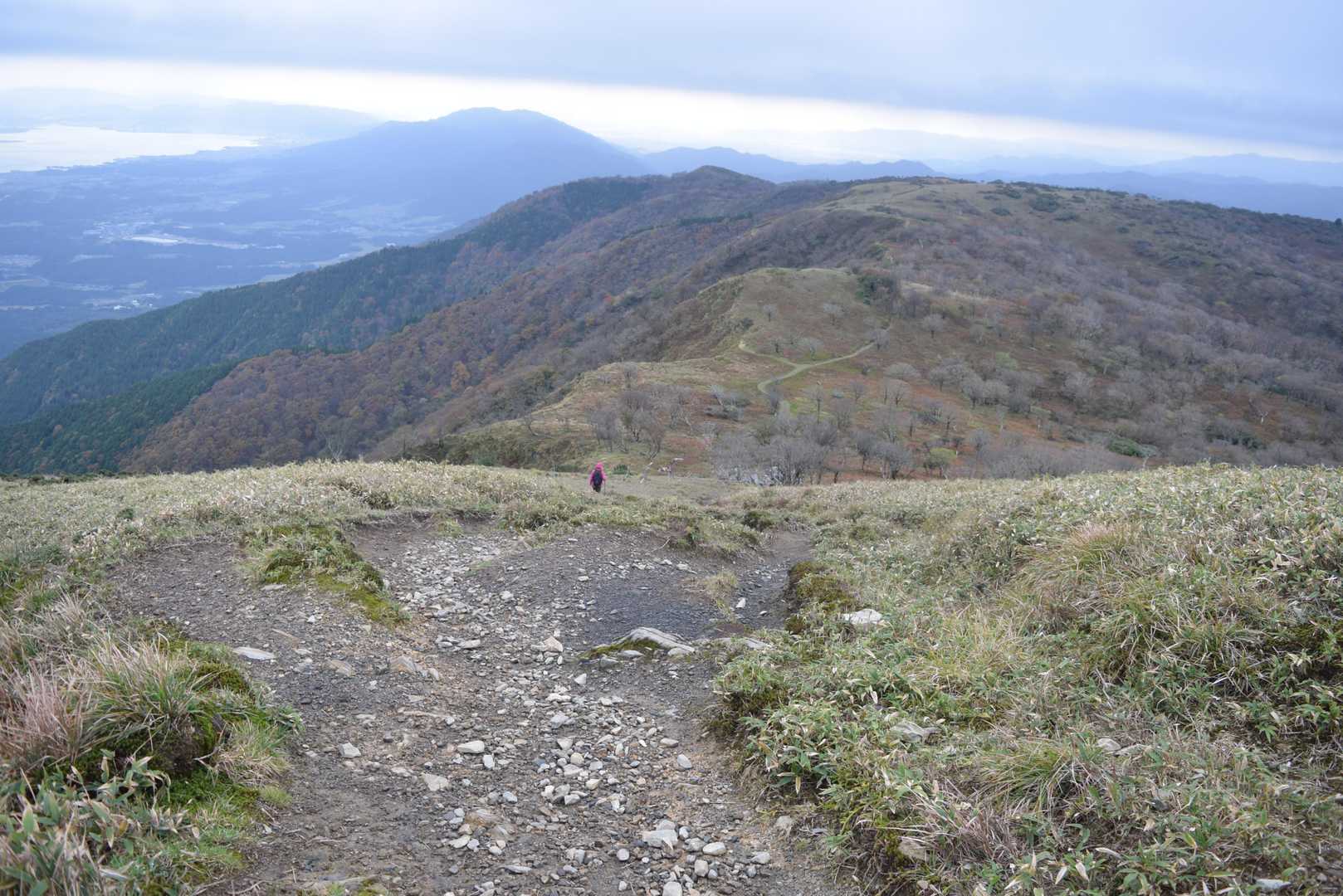 平バス停-アラキ峠-権現山-ホッケ山-小女郎峠-蓬莱山 往復コースの写真