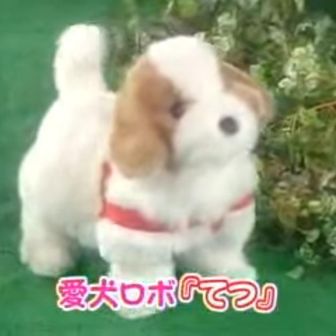 ふたみん