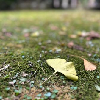 秋がもうすぐそこまで🔜🍂