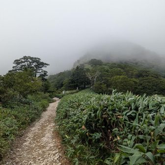 山頂に近付くにつれ霧雨が
上の方は真っ白