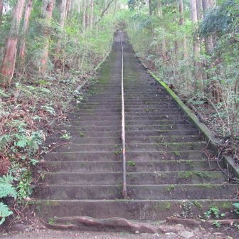 下り切って振り返って見てあげましょう