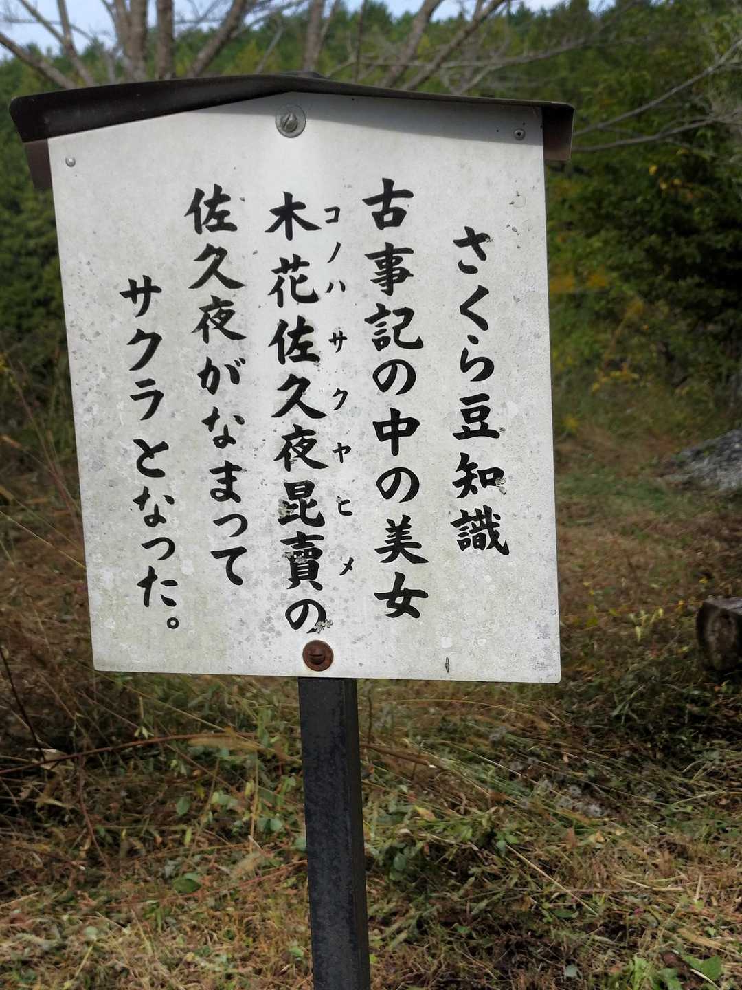 なるほどね〜🤔