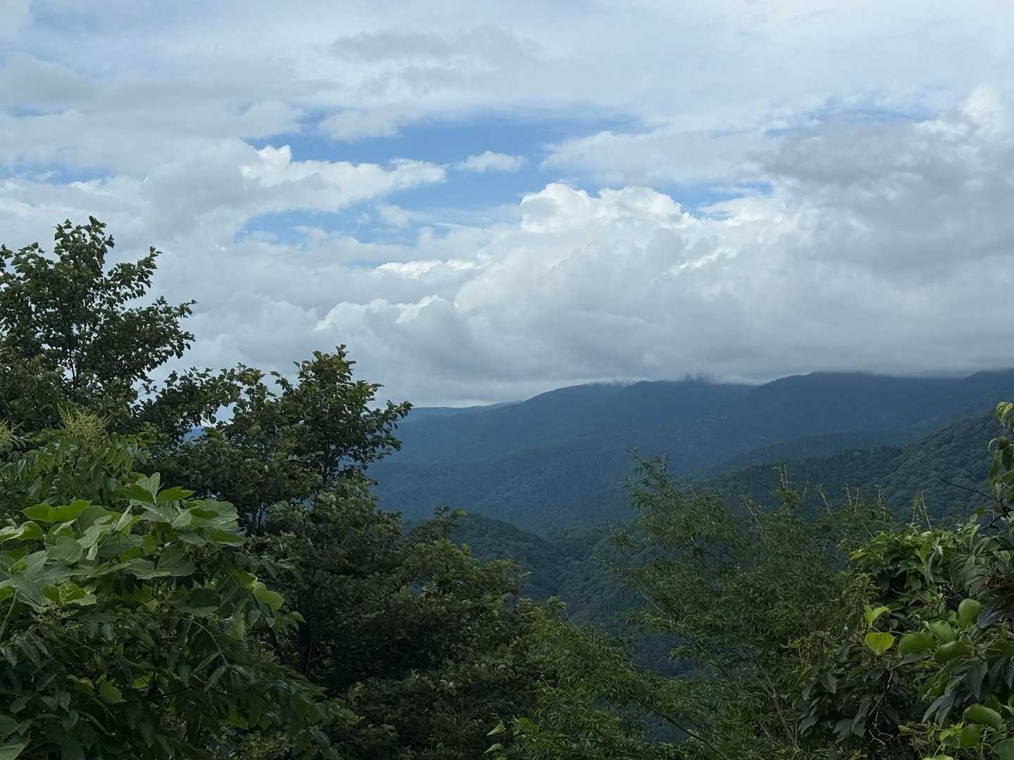 景観無く残念でした