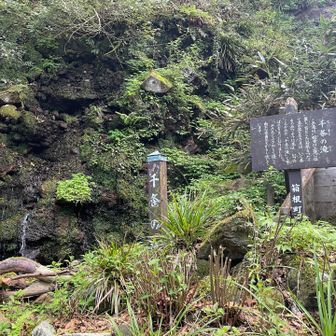 あ！せんじょう、じゃないのね🤣