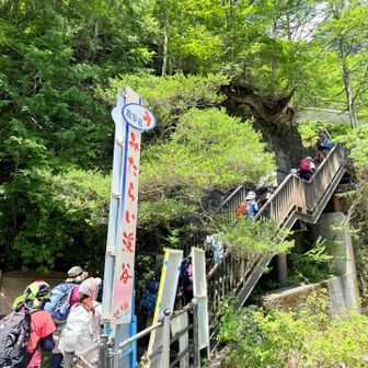 実はここからが ちょっと登りが……
お昼休憩して川遊びして汗もひいたのに
また汗が💦💦