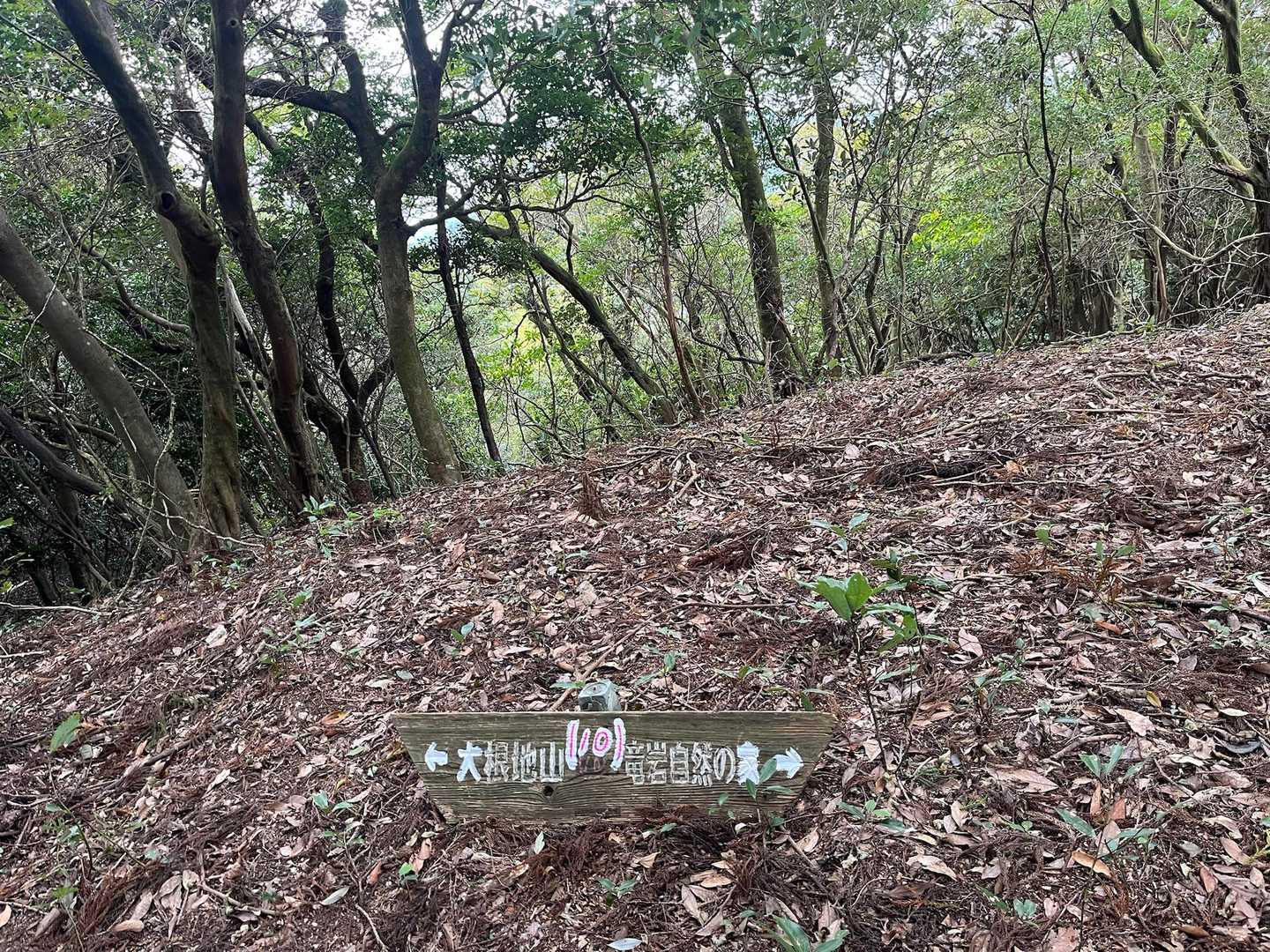 10番まで来ました。
あと少しかな❓
