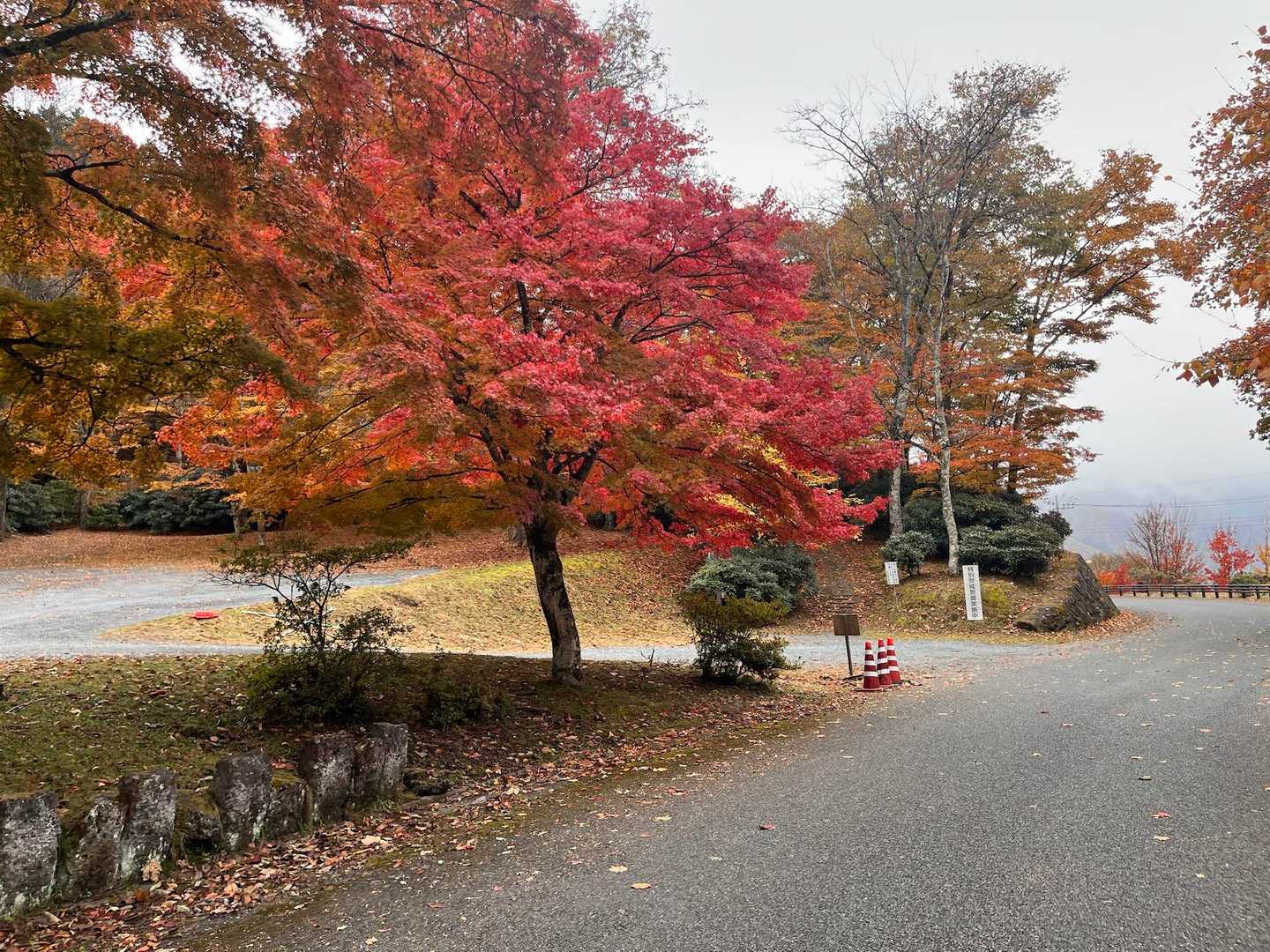 奥宮参道入口（雲取山登山口）-妙法ヶ岳 往復コースの写真