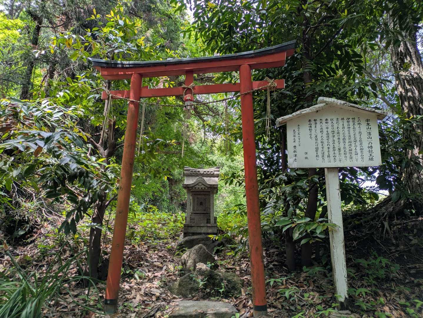 ⛩️宇主山(薄山)幡龍王様。
この地より出する龍岩の御霊石で大地を守る
大神とのことです。