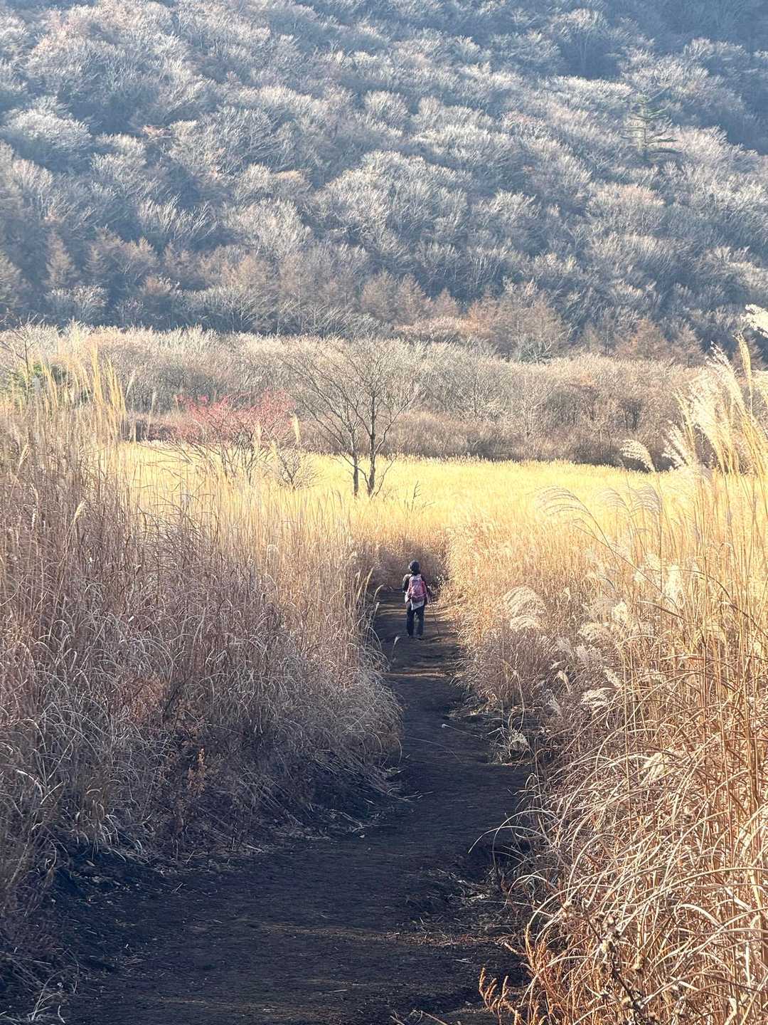 火山灰で滑るので慎重に💦