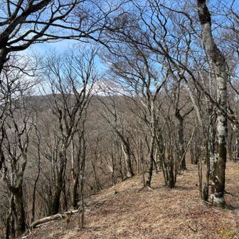 富士山こんな感じ