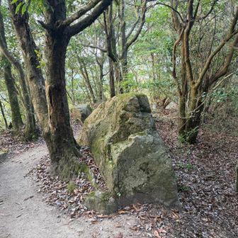 コースを変えて下山
塚原コース、山頂から直で下山も出来るみたいだけどそっちは急そうなので迂回して下ります💦