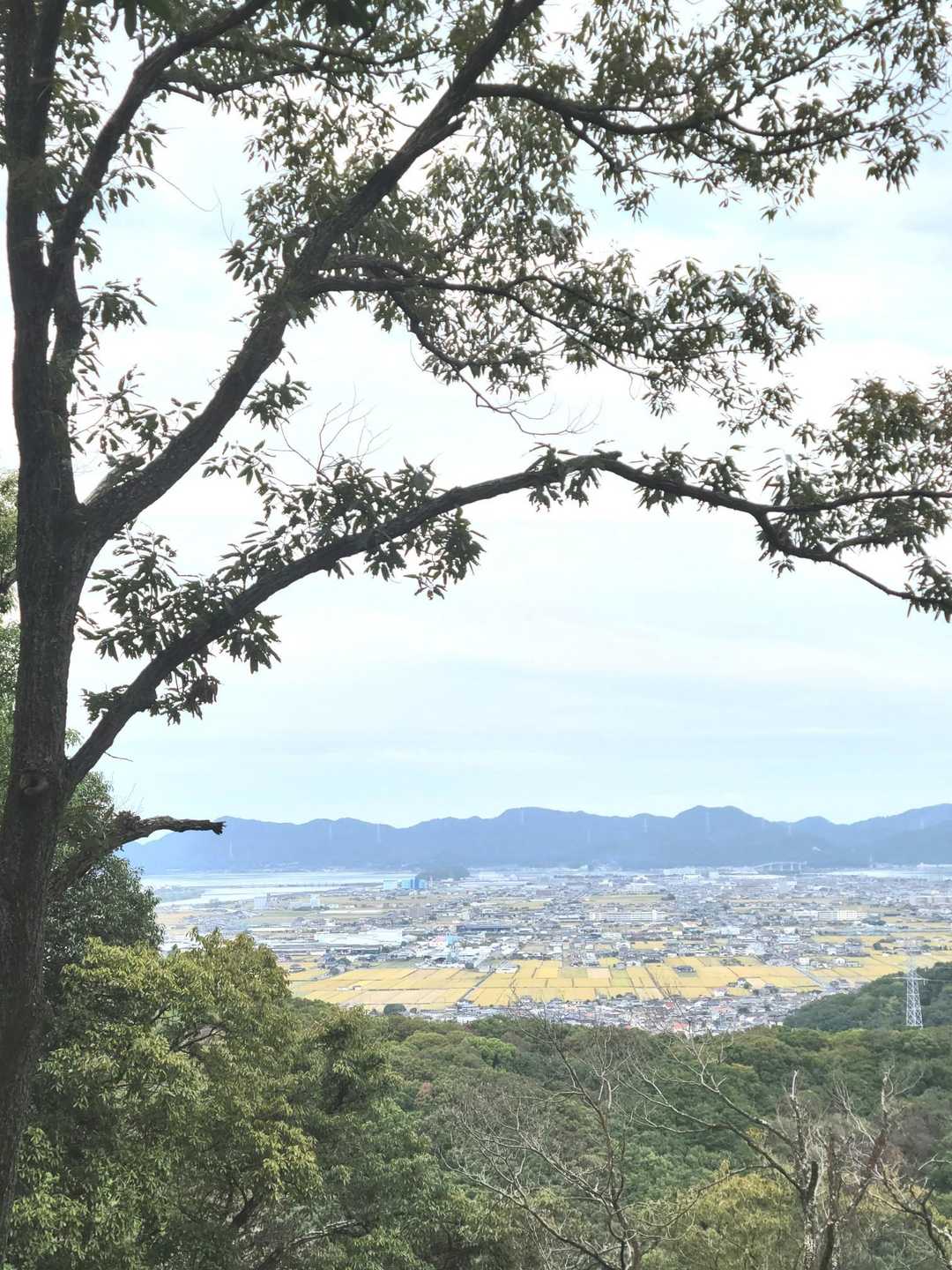曇りなのですが景色は綺麗です