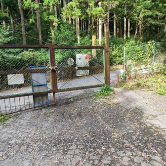 帰ってきました！前回挑戦した時より体力残ってる