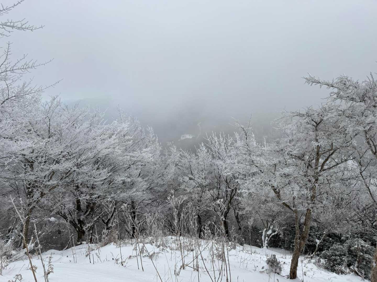 高見峠-高見山 周回コースの写真