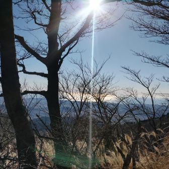 海に太陽光が反射して、幻想的
