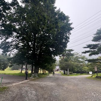 温泉の横を歩き