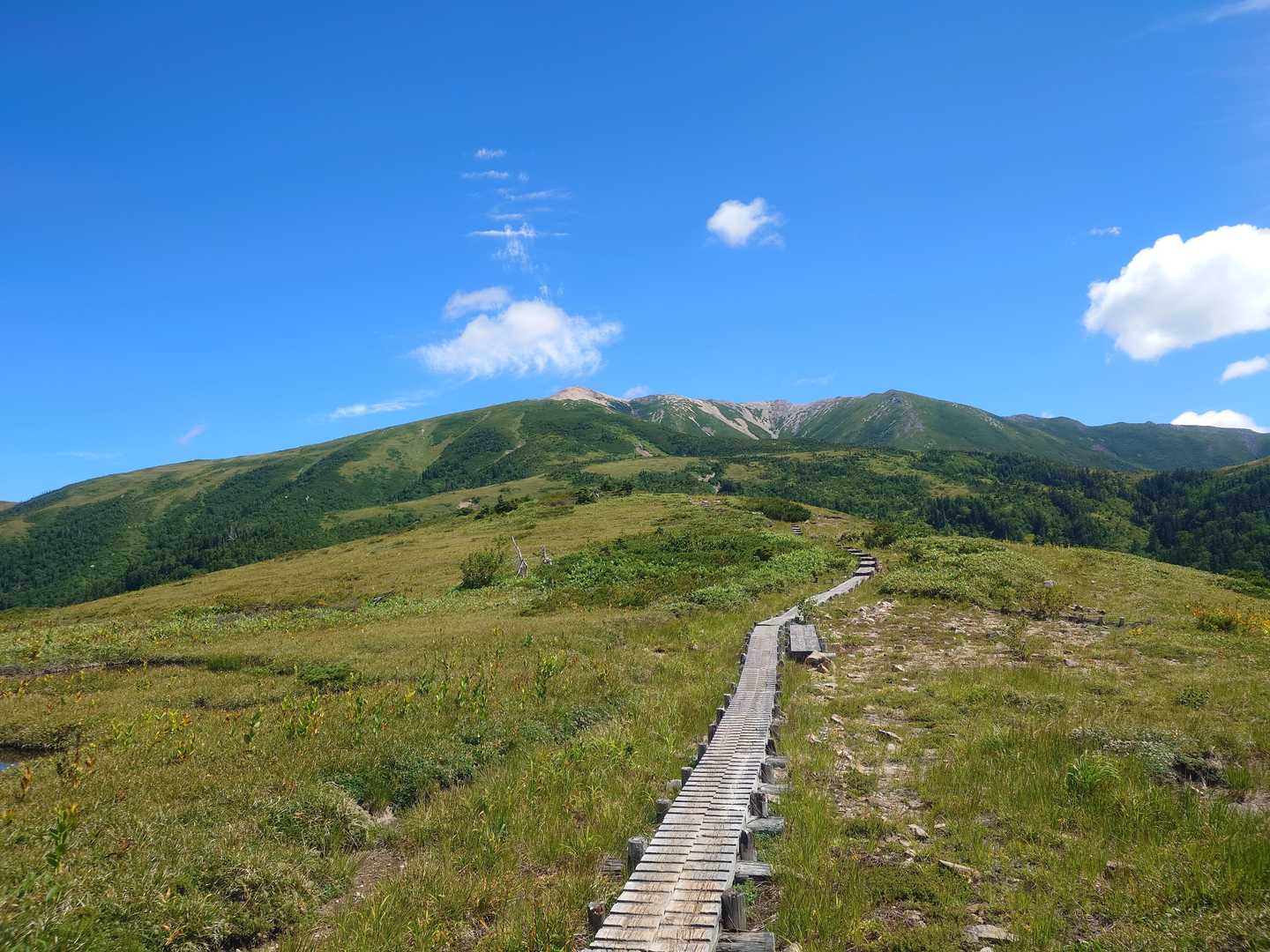 薬師岳登山口-五光岩ベンチ-太郎山-薬師峠-薬師平-薬師岳 往復コースの写真