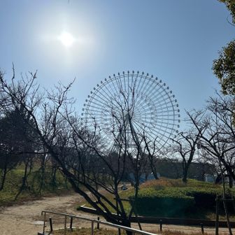 海遊館もすぐそこ！行かないけど😅