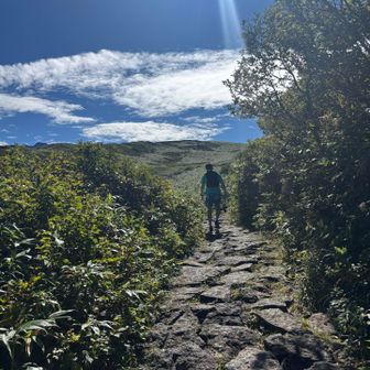 歩いてるうちにだんだん、これ登山じゃない？と気づく私達🤣
