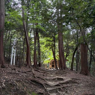白山権現目指して
東屋が見えてきたよ