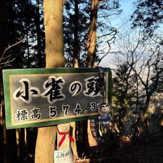 一座目　小雀の頭(こしゃくのかしら)   574.3m
このグレーピークには、もったいないような、
立派な山名板です❣️
展望は、木立の隙間　　3等三角点あり