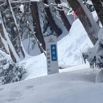 5時間後にようやく登山口まで辿り着く。

少し登りかけた、相互フォローさんの腰まで埋まった姿を見て、同じく心が折れて、山頂までに行くのは時間切れで、無理なので撤退する😭