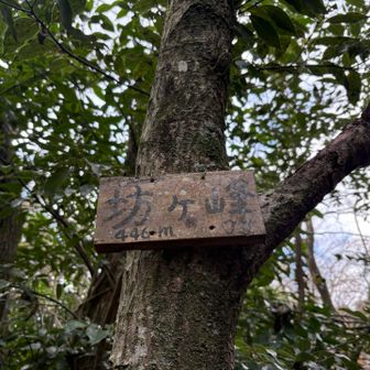 坊ヶ峯、登頂！