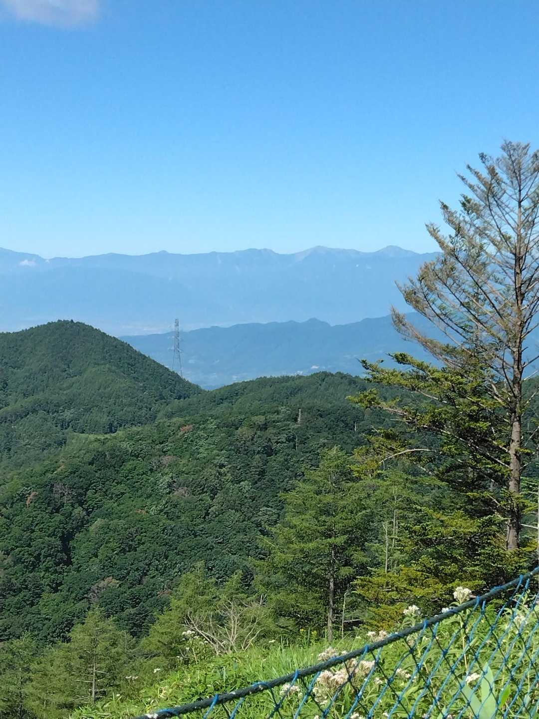 林道からの景色
