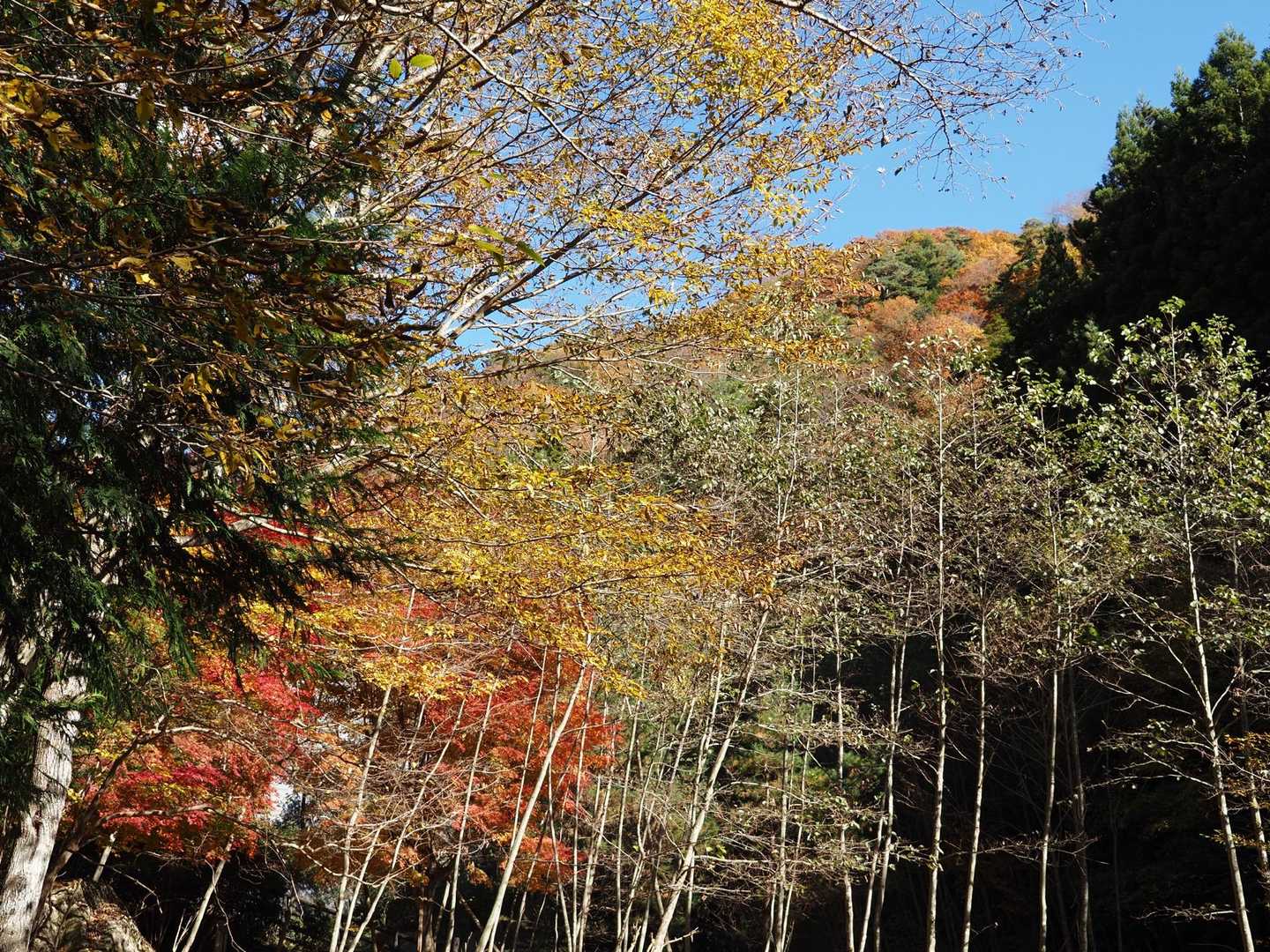 節刀ヶ岳（魚眠荘前）＜鬼ヶ岳＞の写真