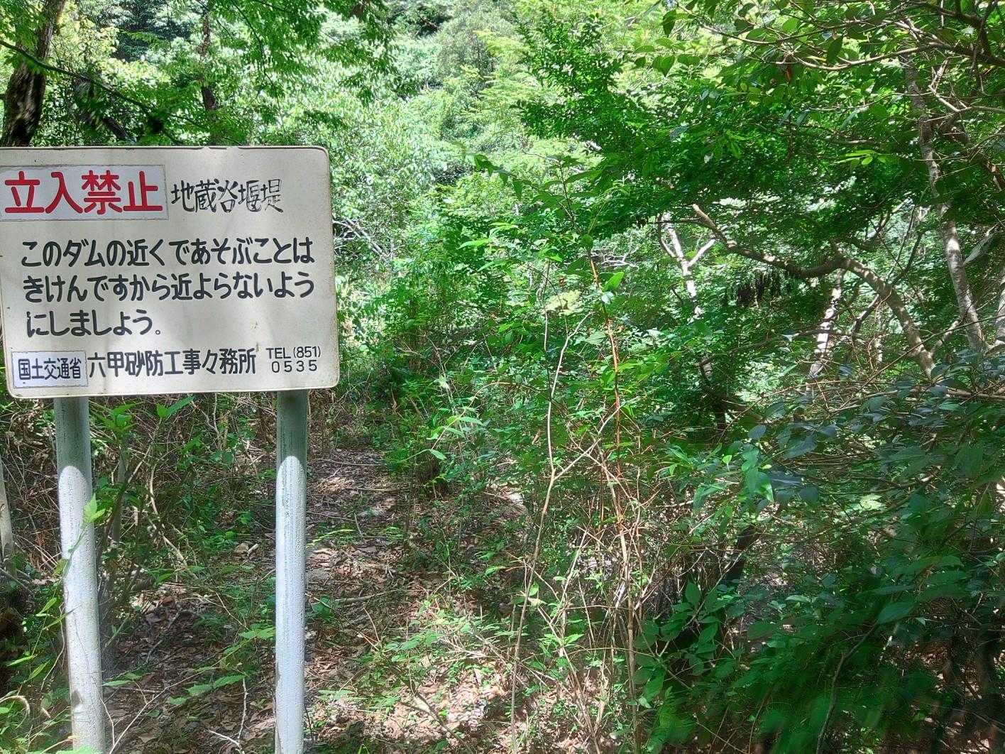 沢沿いのハイキングコースは助かります。