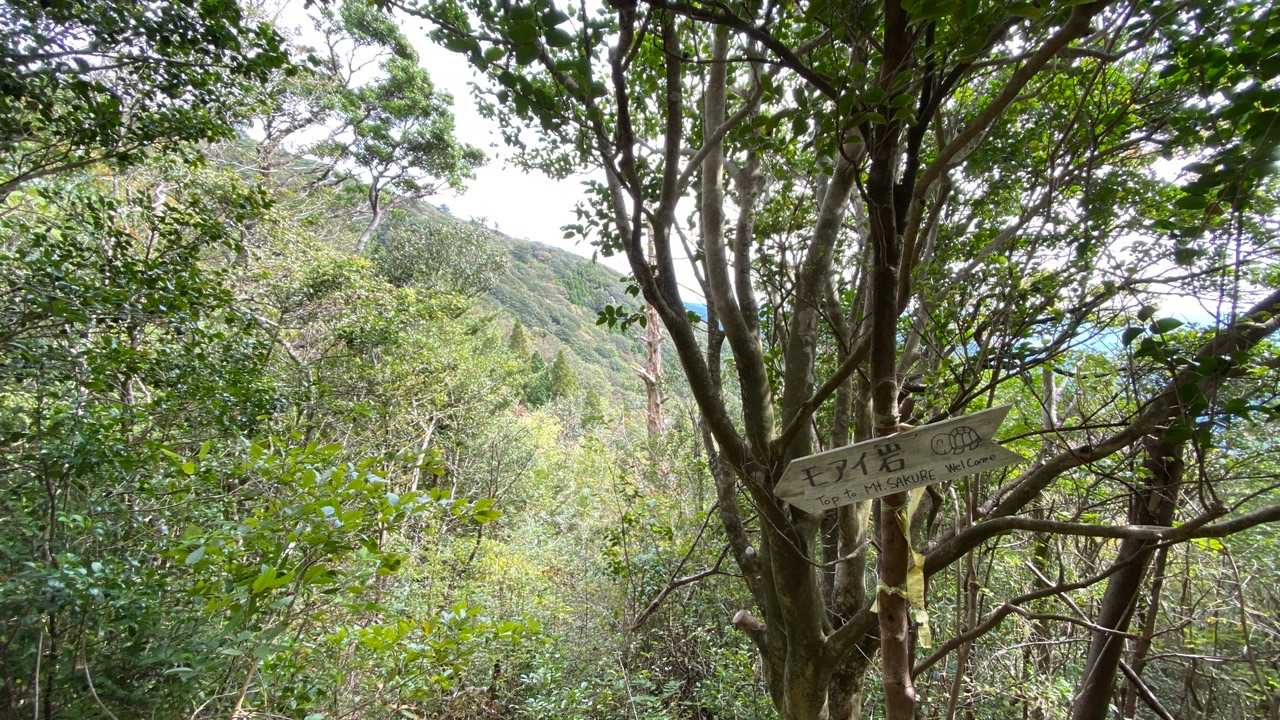 作礼山登山口-作礼山 往復コースの写真