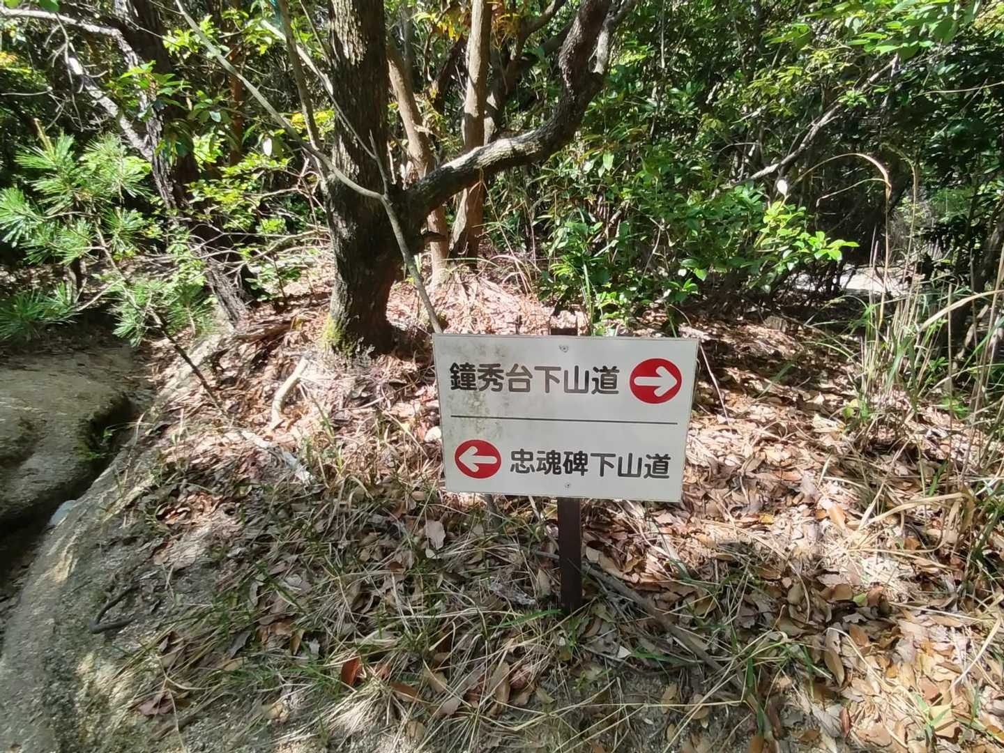 左へ