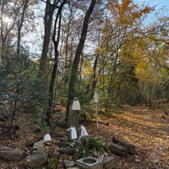 いつもの分かれ道
今日は　初めて　銀閣寺に降ります