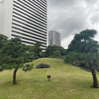 根府川山は工事中で登れませんでした😢