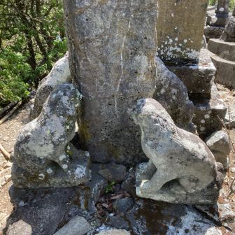 オオカミと狛犬、総勢4匹が鎮座？