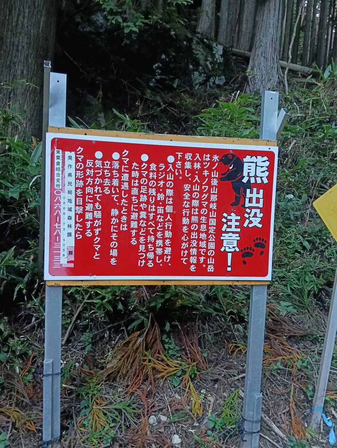 世間でもクマクマ言うから
ホンマ出そうやねん😂