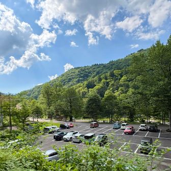 市ノ瀬🅿️に戻ってきた

チブリ尾根別山⛰️距離はあるものの整備され登り易いトレイルであったし、白山の大展望が素晴らしく、終盤のゼブラ白山も眺められた
そして百花繚乱これからがベストシーズンの両白山地　白山＆別山

いつかまた来よう