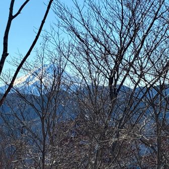 富士山ばっちり
南アルプスも