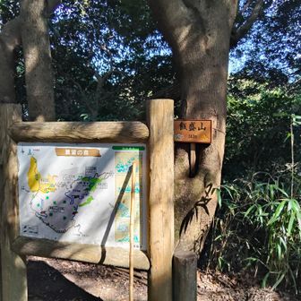 山頂到着　手前の急登は写真を撮る余裕がなく、…