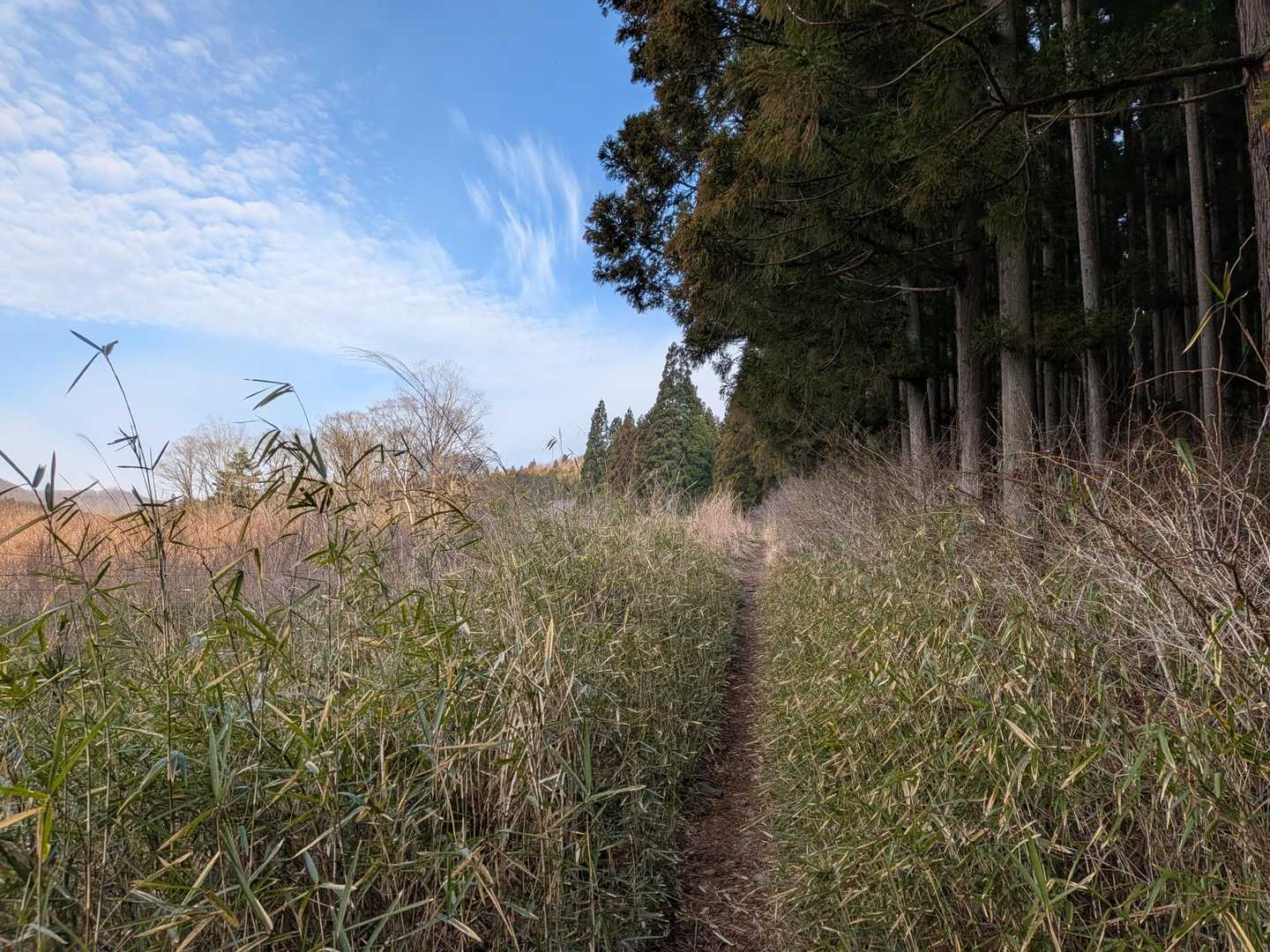 鎌倉山登山口-鎌倉山 往復コースの写真