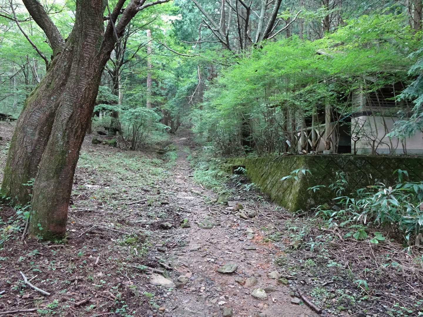 写真右のトイレは使用禁止でした