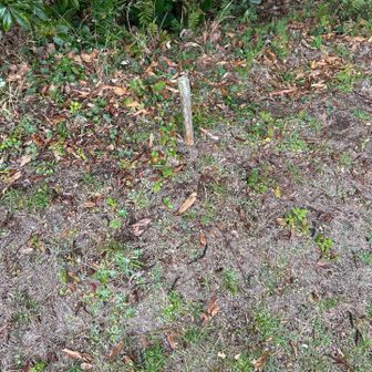 ココがピーク❓