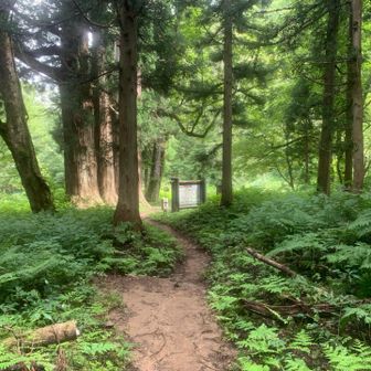 御沢登山口でゴール