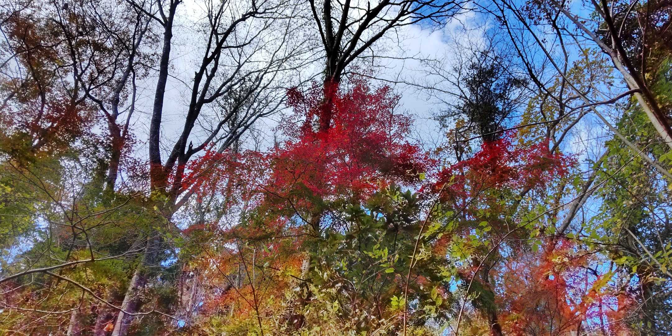 石射太郎-高宕山-八良塚-広場 周回コースの写真