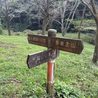 能仁寺、中央公園までもどります