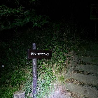 雨降ってたので帰ります！